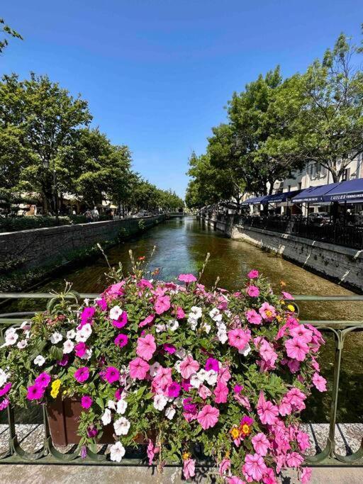 Lou Paseo : Appartement Brocante Centre Historique LʼIsle-sur-la-Sorgue Εξωτερικό φωτογραφία