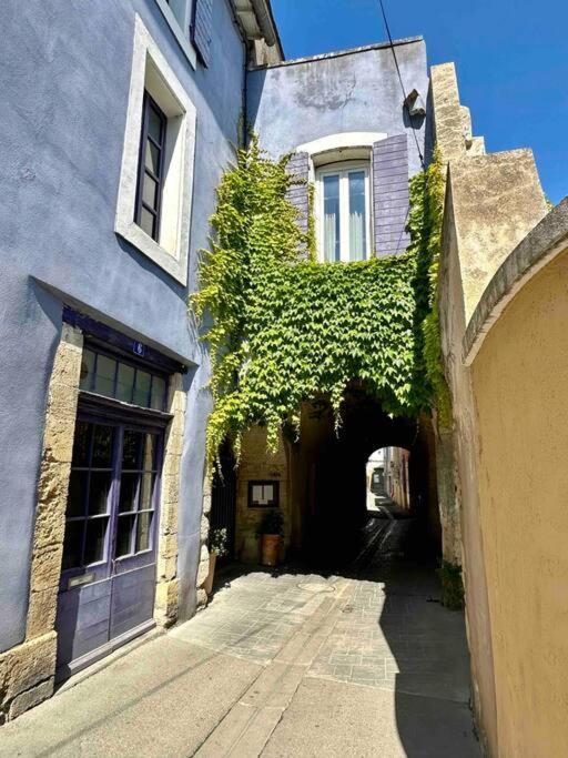 Lou Paseo : Appartement Brocante Centre Historique LʼIsle-sur-la-Sorgue Εξωτερικό φωτογραφία
